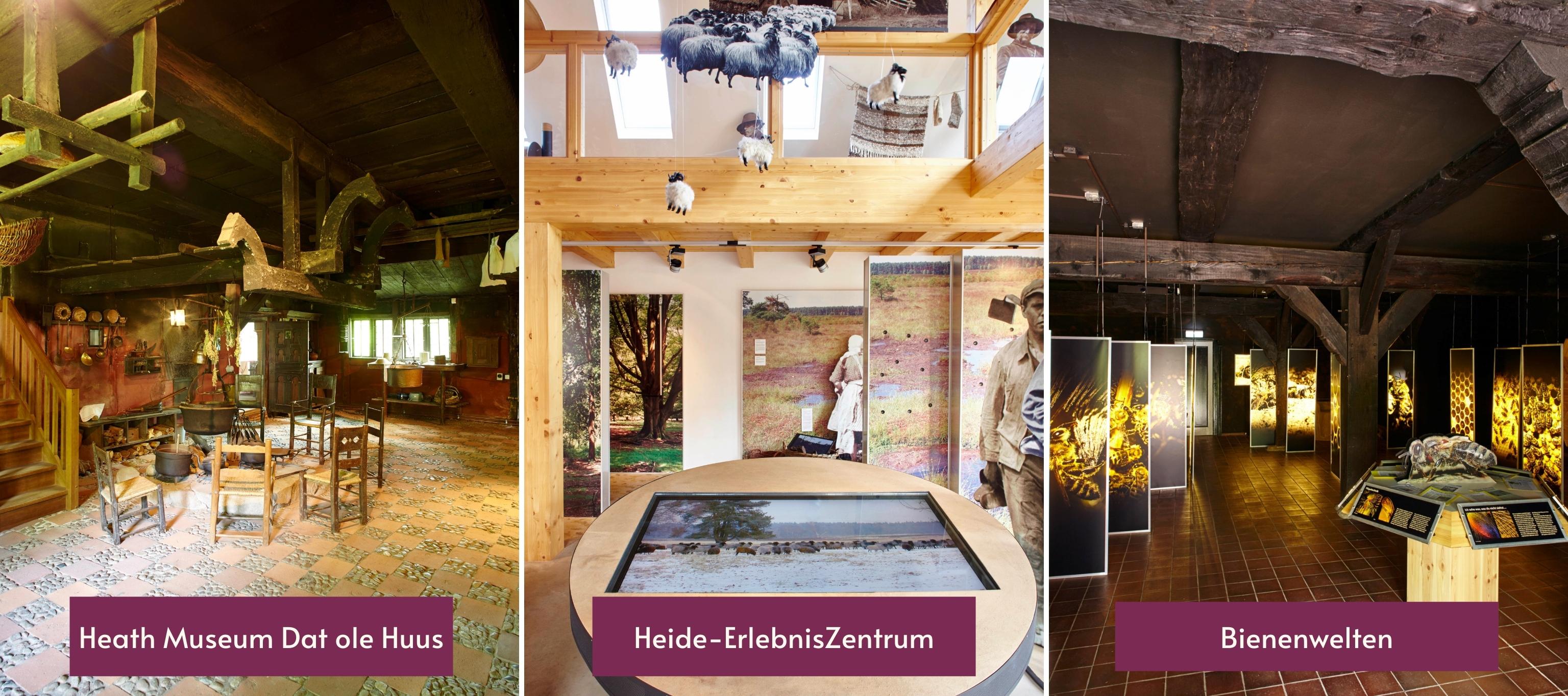 Visit the Exhbitions and museums of the VNP in the Lueneburg Heath