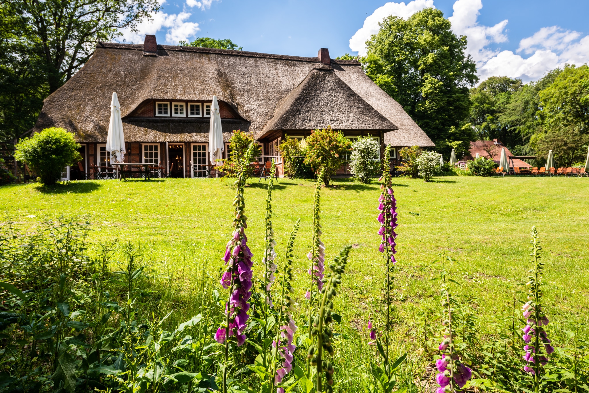 hotel hof tuetsberg schneverdingen mit Blumen im Vordergrund foto markus tiemann