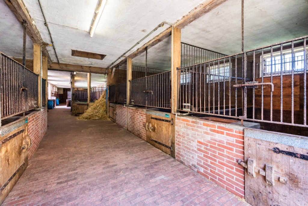 View into the horse stable of Hotel Hof Tütsberg with 20 boxes. | Photo: Markus Tiemann