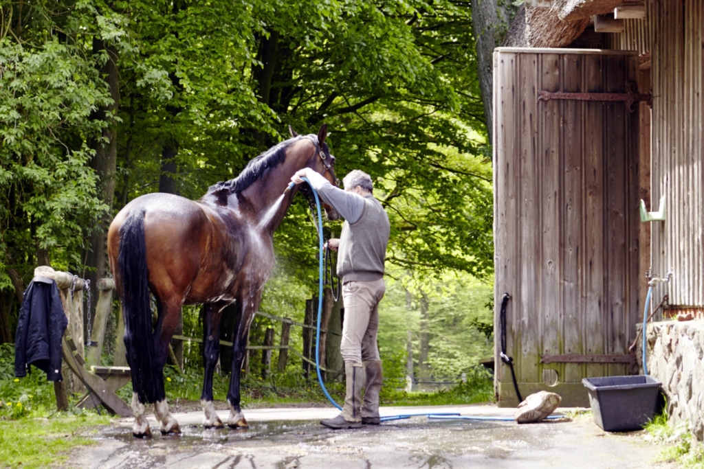 After the ride at the horse stable of Hotel Hof Tütsberg | Photo: Christian Burmester