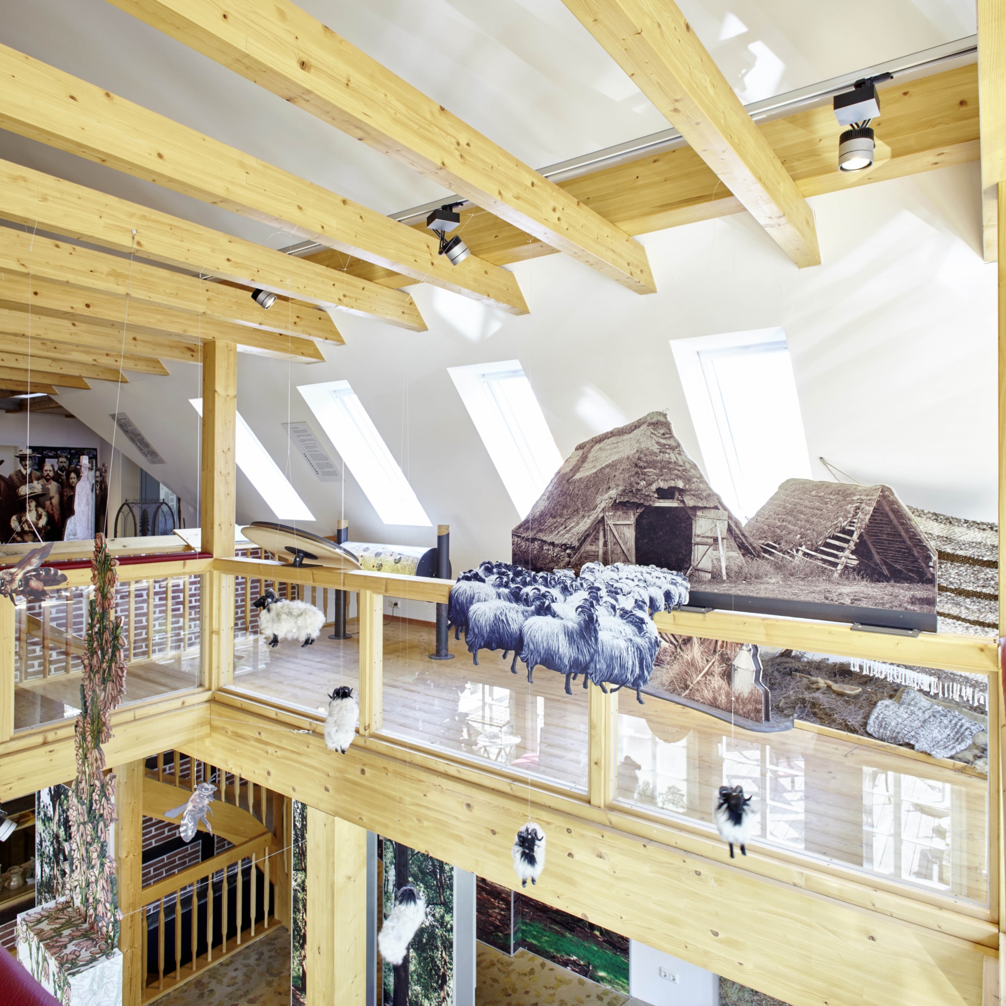 Blick in die Ausstellung im Obergeschoss im Heide-ErlebnisZentrum in Undeloh | Foto: Christian Burmester